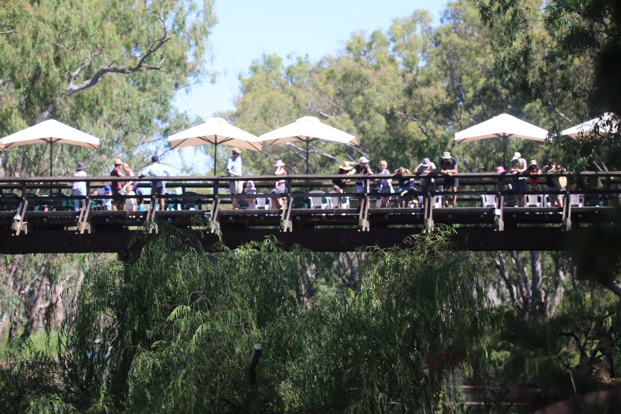 People on a bridge enjoying wine 